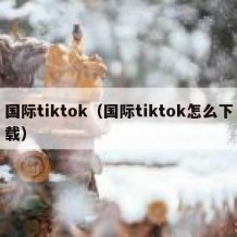 国际tiktok（国际tiktok怎么下载）