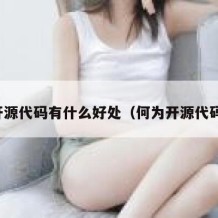 开源代码有什么好处（何为开源代码）