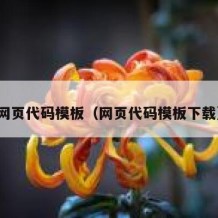 网页代码模板（网页代码模板下载）