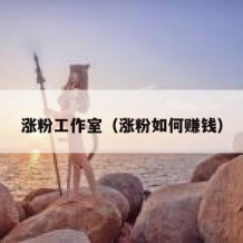 涨粉工作室（涨粉如何赚钱）