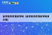 自学软件开发好学吗（自学软件开发好学吗多少钱）