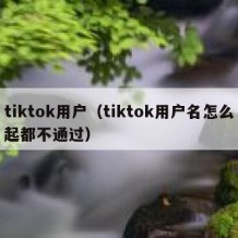 tiktok用户（tiktok用户名怎么起都不通过）