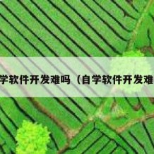 自学软件开发难吗（自学软件开发难吗）