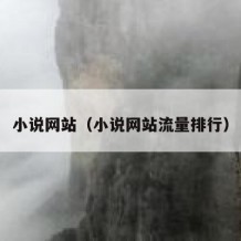 小说网站（小说网站流量排行）