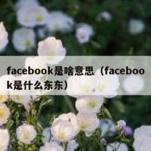 facebook是啥意思（facebook是什么东东）
