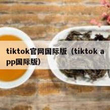 tiktok官网国际版（tiktok app国际版）