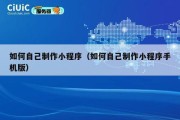 如何自己制作小程序（如何自己制作小程序手机版）