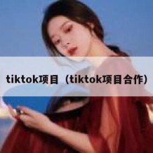 tiktok项目（tiktok项目合作）