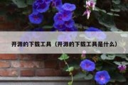 开源的下载工具（开源的下载工具是什么）