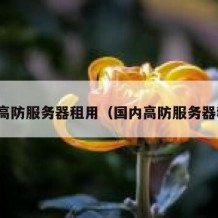 境外高防服务器租用（国内高防服务器租用）
