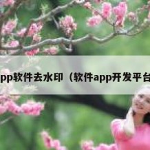 app软件去水印（软件app开发平台）