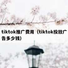 tiktok推广费用（tiktok投放广告多少钱）