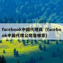 facebook中国代理商（facebook中国代理公司是哪家）