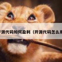 开源代码如何盈利（开源代码怎么用）