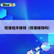 搭建程序赚钱（搭建赚钱吗）
