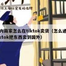国内商家怎么在tiktok卖货（怎么通过tiktok把东西卖到国外）