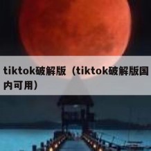 tiktok破解版（tiktok破解版国内可用）