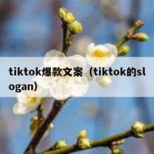 tiktok爆款文案（tiktok的slogan）