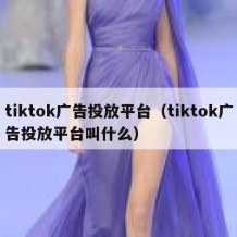 tiktok广告投放平台（tiktok广告投放平台叫什么）