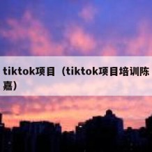 tiktok项目（tiktok项目培训陈嘉）