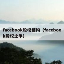 facebook股权结构（facebook股权之争）