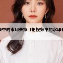 把视频中的水印去掉（把视频中的水印去掉怎么弄）