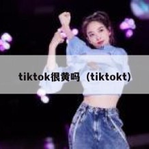 tiktok很黄吗（tiktokt）