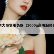 高防大带宽服务器（1000g高防服务器带宽）