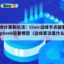 边缘计算新玩法：Ciuic边缘节点部署DeepSeek轻量模型（边缘算法是什么意思）