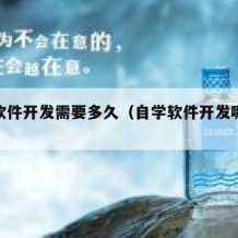 自学软件开发需要多久（自学软件开发哪些书籍）