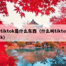 tiktok是什么东西（什么叫tiktok）