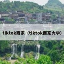 tiktok商家（tiktok商家大学）