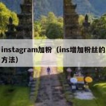 instagram加粉（ins增加粉丝的方法）