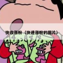 快收涨粉（快速涨粉的图片）