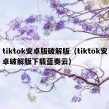 tiktok安卓版破解版（tiktok安卓破解版下载蓝奏云）