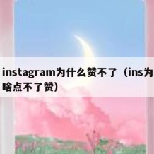 instagram为什么赞不了（ins为啥点不了赞）