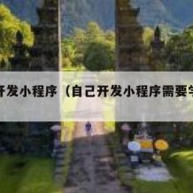 自学开发小程序（自己开发小程序需要学什么）