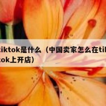 tiktok是什么（中国卖家怎么在tiktok上开店）