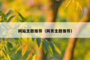 网站主题推荐（网页主题推荐）