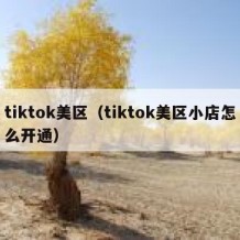 tiktok美区（tiktok美区小店怎么开通）