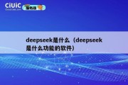 deepseek是什么（deepseek是什么功能的软件）
