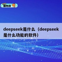 deepseek是什么（deepseek是什么功能的软件）