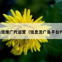 信息流推广代运营（信息流广告平台代理）