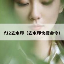 f12去水印（去水印快捷命令）