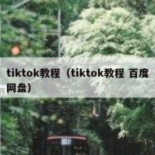 tiktok教程（tiktok教程 百度网盘）