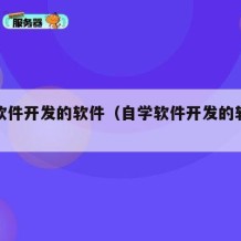 自学软件开发的软件（自学软件开发的软件哪个好）