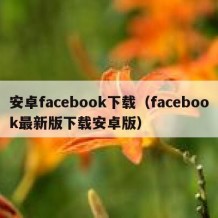 安卓facebook下载（facebook最新版下载安卓版）
