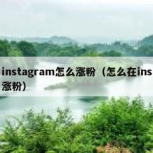 instagram怎么涨粉（怎么在ins涨粉）