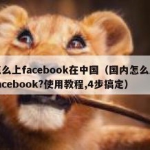 怎么上facebook在中国（国内怎么上facebook?使用教程,4步搞定）