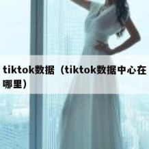 tiktok数据（tiktok数据中心在哪里）